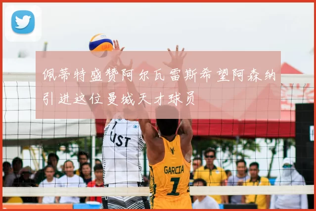 佩蒂特盛赞阿尔瓦雷斯希望阿森纳引进这位曼城天才球员