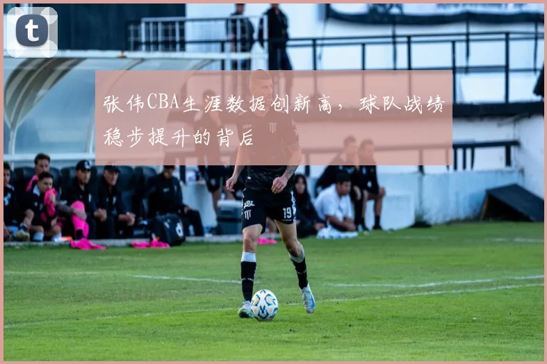 张伟CBA生涯数据创新高，球队战绩稳步提升的背后