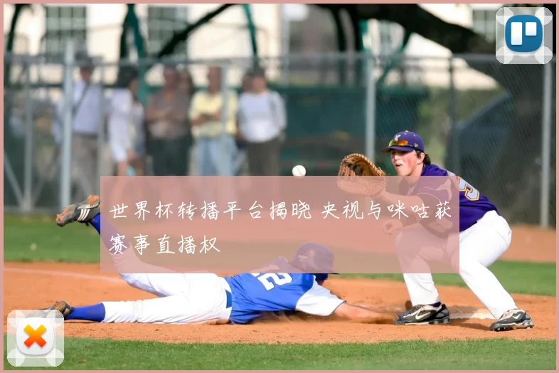 世界杯转播平台揭晓 央视与咪咕获赛事直播权