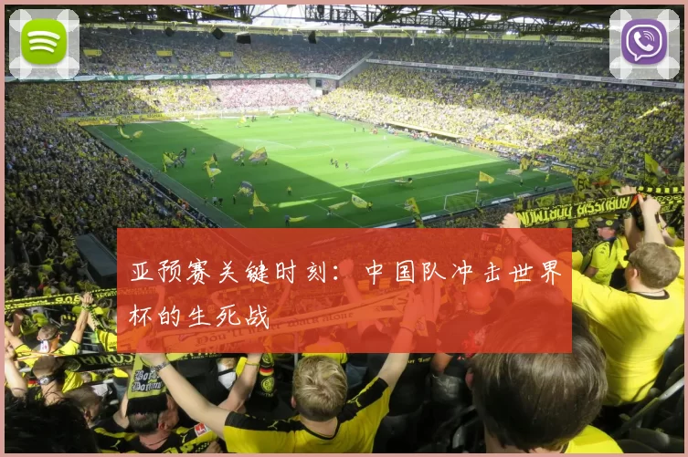亚预赛关键时刻：中国队冲击世界杯的生死战