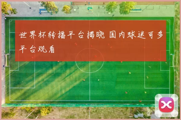 世界杯转播平台揭晓 国内球迷可多平台观看