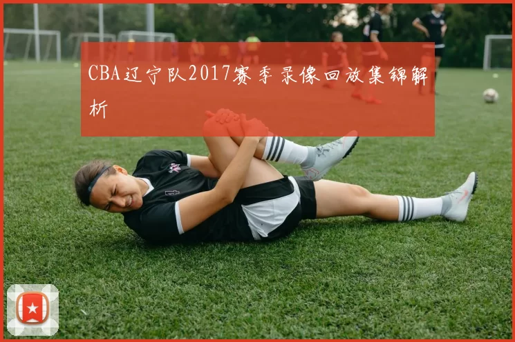 CBA辽宁队2017赛季录像回放集锦解析
