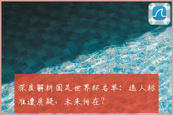 深度解析国足世界杯名单:选人标准遭质疑,未来何在?