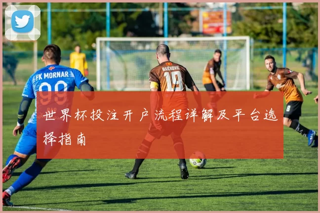 世界杯投注开户流程详解及平台选择指南