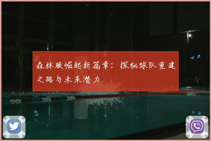 森林狼崛起新篇章：探秘球队重建之路与未来潜力