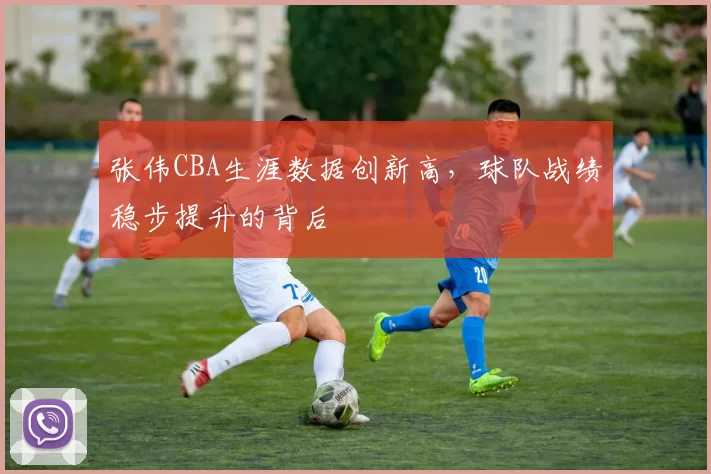 张伟CBA生涯数据创新高，球队战绩稳步提升的背后