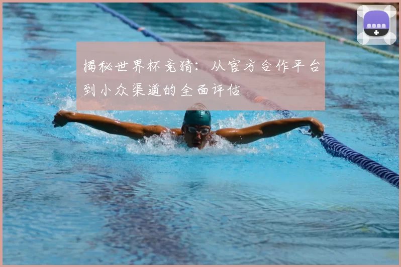 揭秘世界杯竞猜：从官方合作平台到小众渠道的全面评估