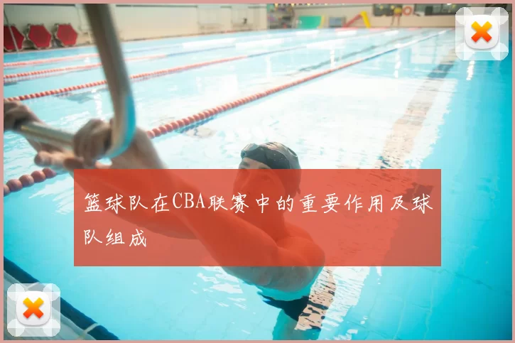篮球队在CBA联赛中的重要作用及球队组成