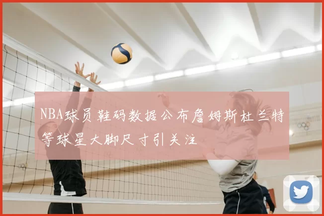 NBA球员鞋码数据公布詹姆斯杜兰特等球星大脚尺寸引关注