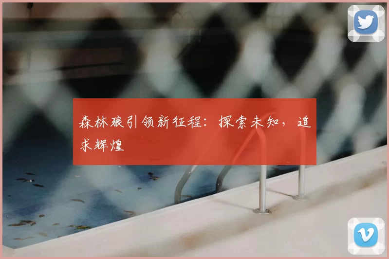 森林狼引领新征程：探索未知，追求辉煌