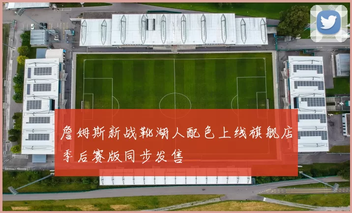詹姆斯新战靴湖人配色上线旗舰店季后赛版同步发售