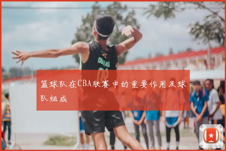篮球队在CBA联赛中的重要作用及球队组成