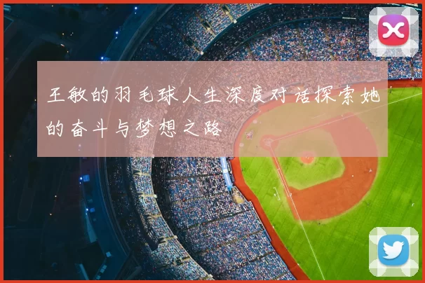 王敏的羽毛球人生深度对话探索她的奋斗与梦想之路