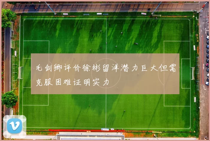 毛剑卿评价徐彬留洋潜力巨大但需克服困难证明实力