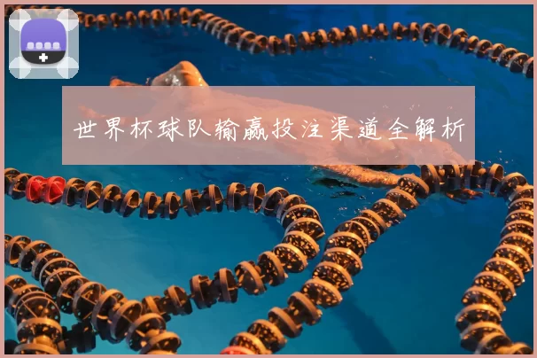 世界杯球队输赢投注渠道全解析