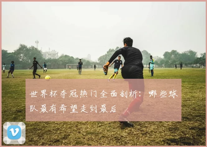 世界杯夺冠热门全面剖析：哪些球队最有希望走到最后