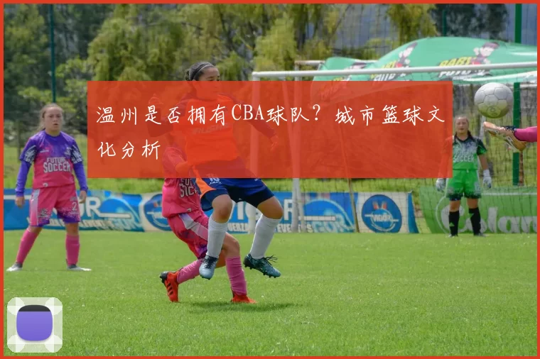 温州是否拥有CBA球队?城市篮球文化分析