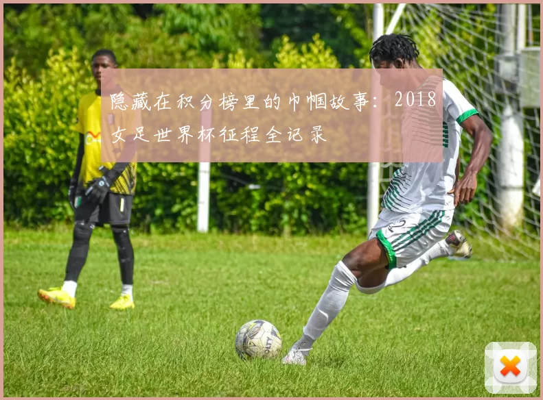 隐藏在积分榜里的巾帼故事:2018女足世界杯征程全记录