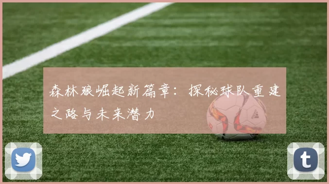 森林狼崛起新篇章：探秘球队重建之路与未来潜力